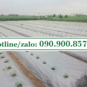 Màng phủ nông nghiệp