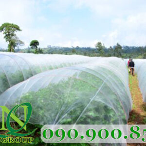 Lưới phủ luống che rau