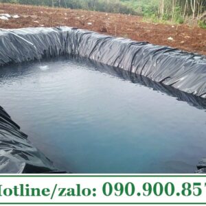 Màng Pe lót hồ