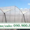 Màng nhà kính 120 micron khổ 2m2 dài 100m
