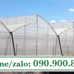 Màng nhà kính 120 micron khổ 2m2 dài 100m