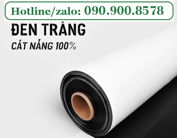 mang-cach-nhiet-den-trang